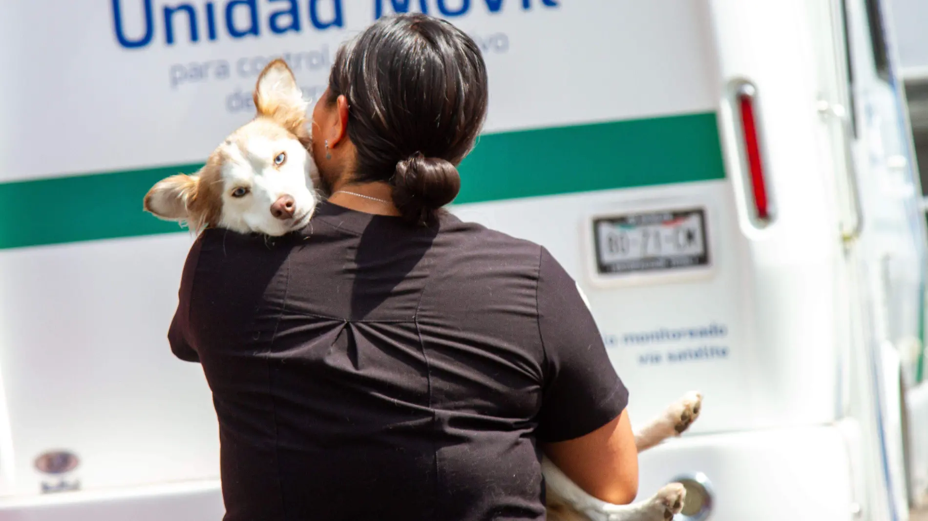 950662_Salud Mascotas-1_impreso